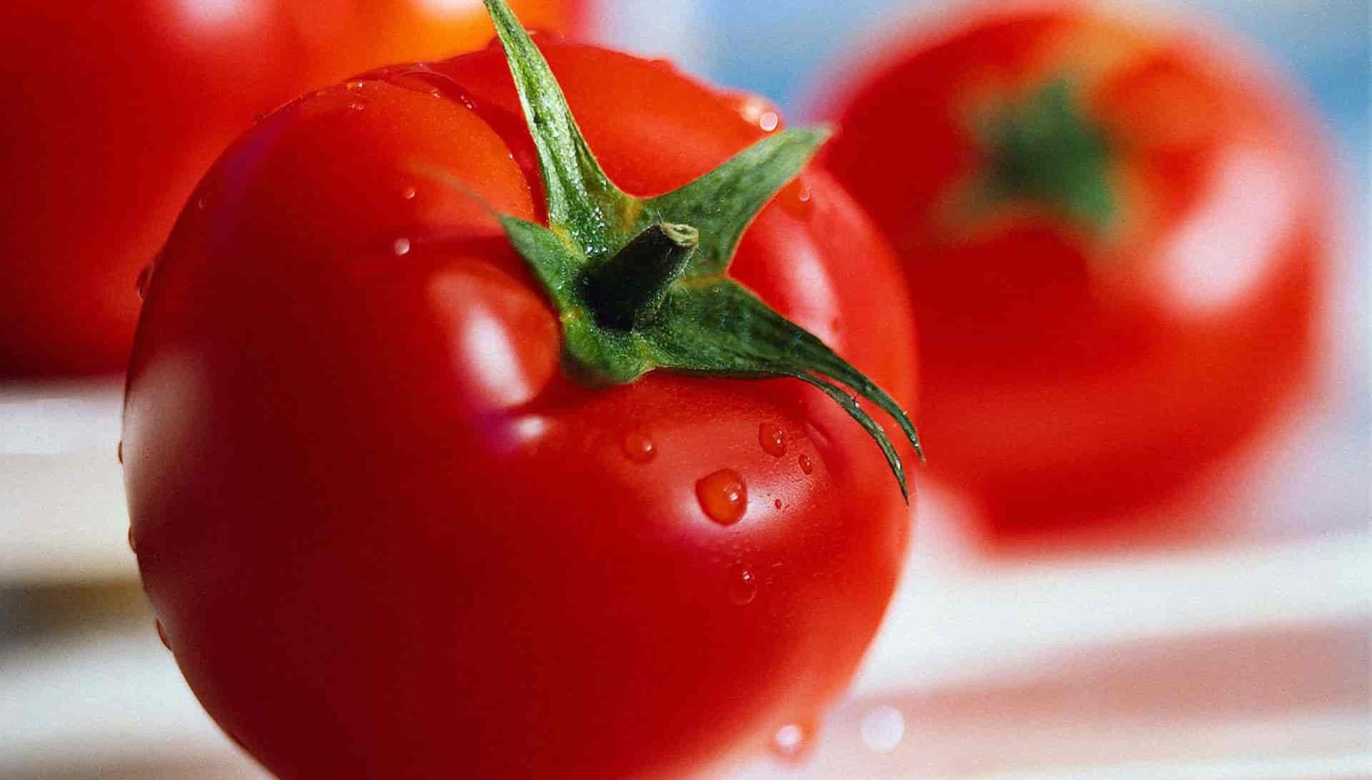 گوجه‌ فرنگی رومی خوش‌ طعم ویژه رستوران‌ ها